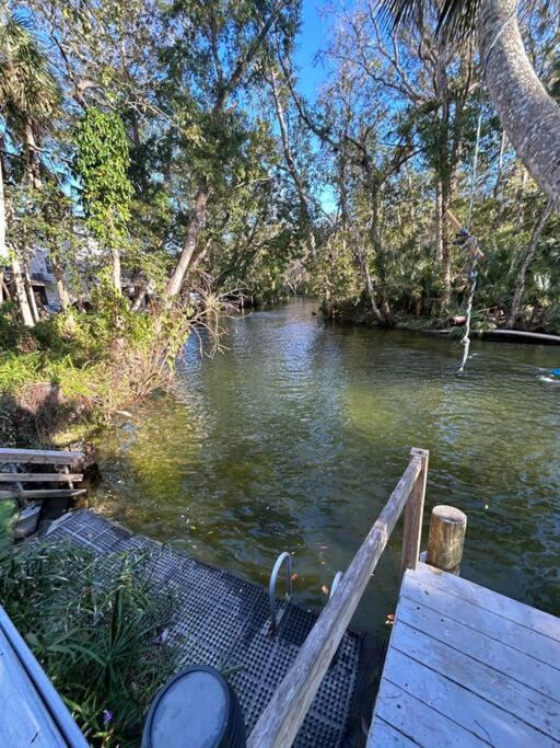 Photo of Others in Weeki Wachee Gardens