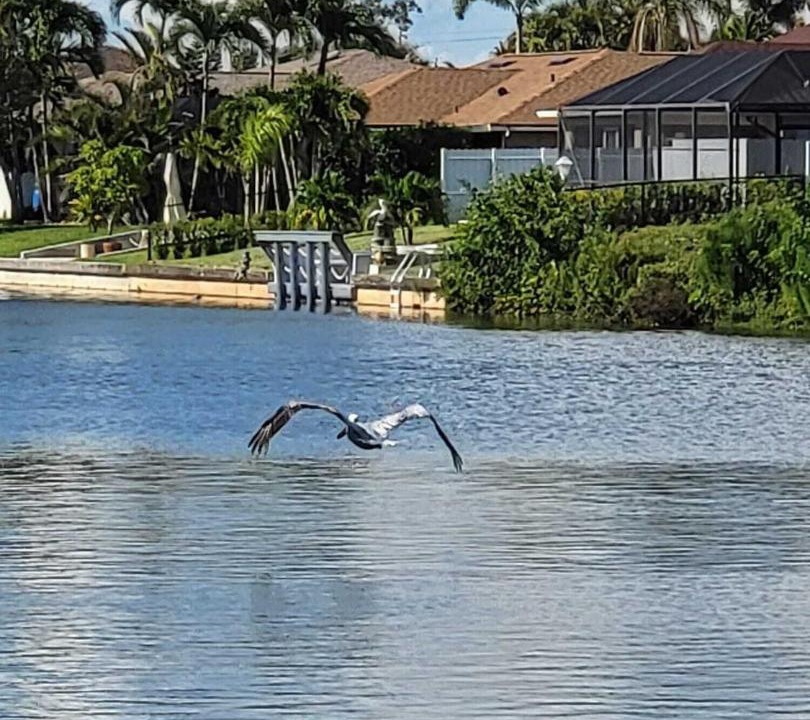Photo of Others in Fort Myers