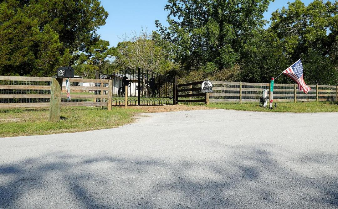 Photo of Others in Homosassa