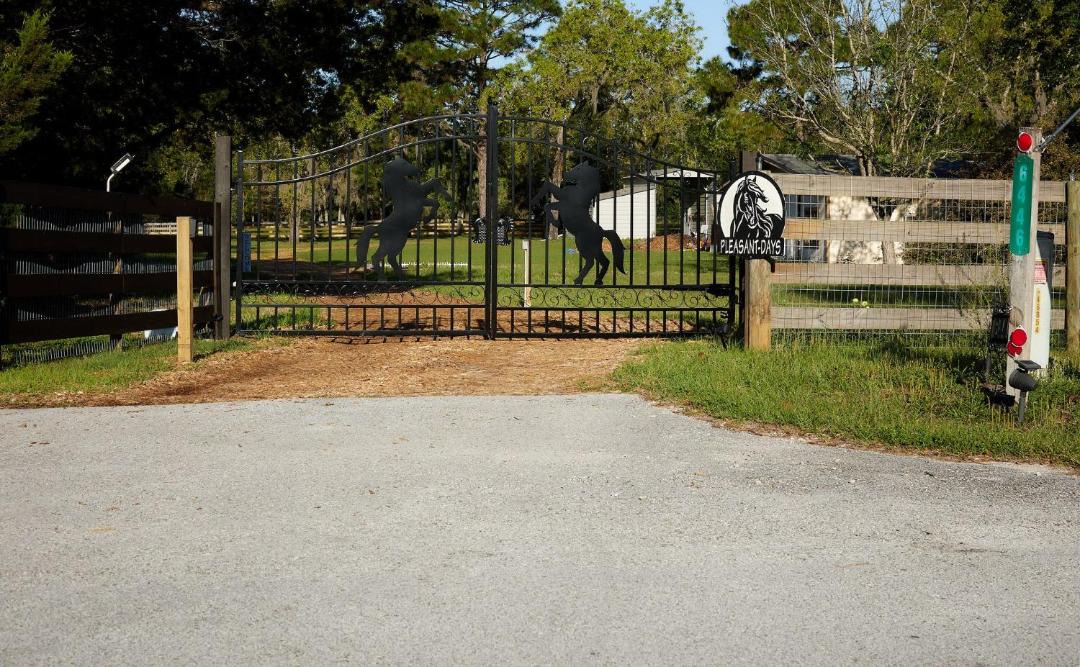 Photo of Others in Homosassa
