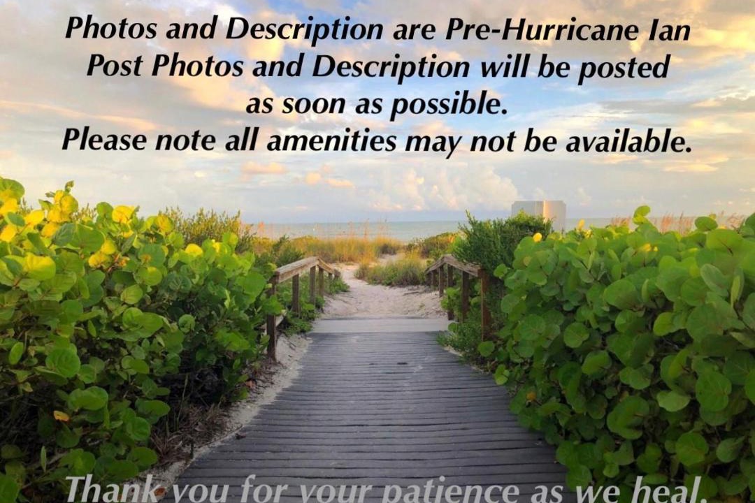 Photo of Human In Picture in Sanibel
