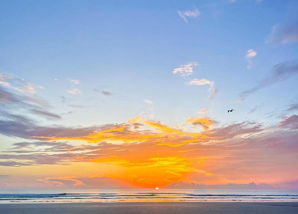 Photo of Others in New Smyrna Beach