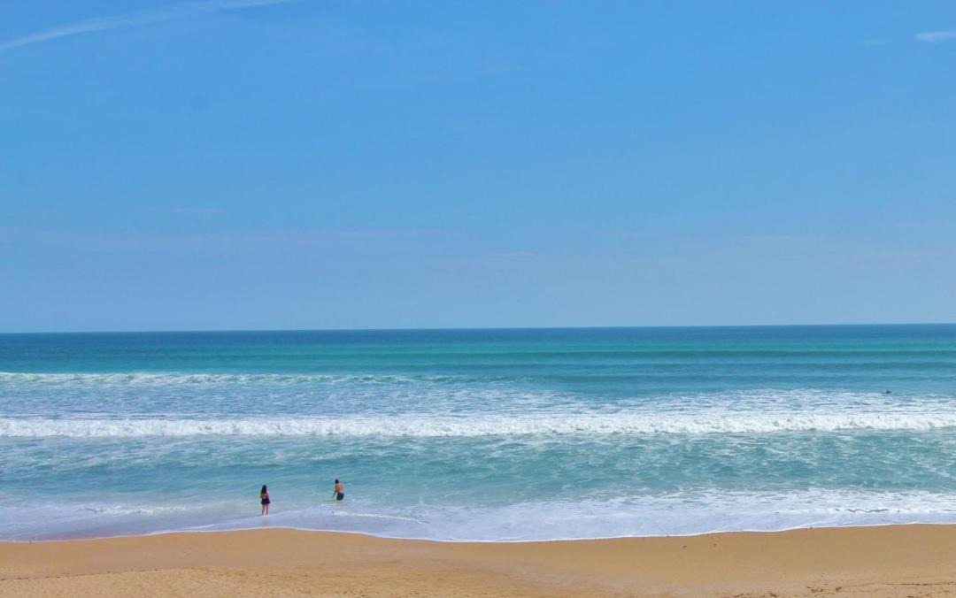 Photo of Others in Coronado Shores