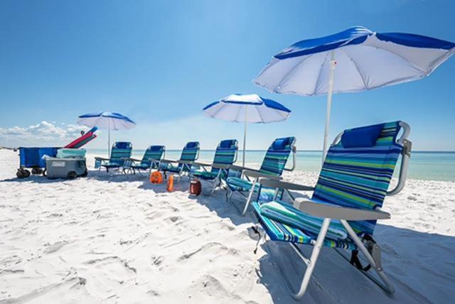 Photo of Others in Gulf Pines