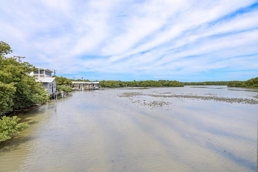Photo of Others in Cedar Key