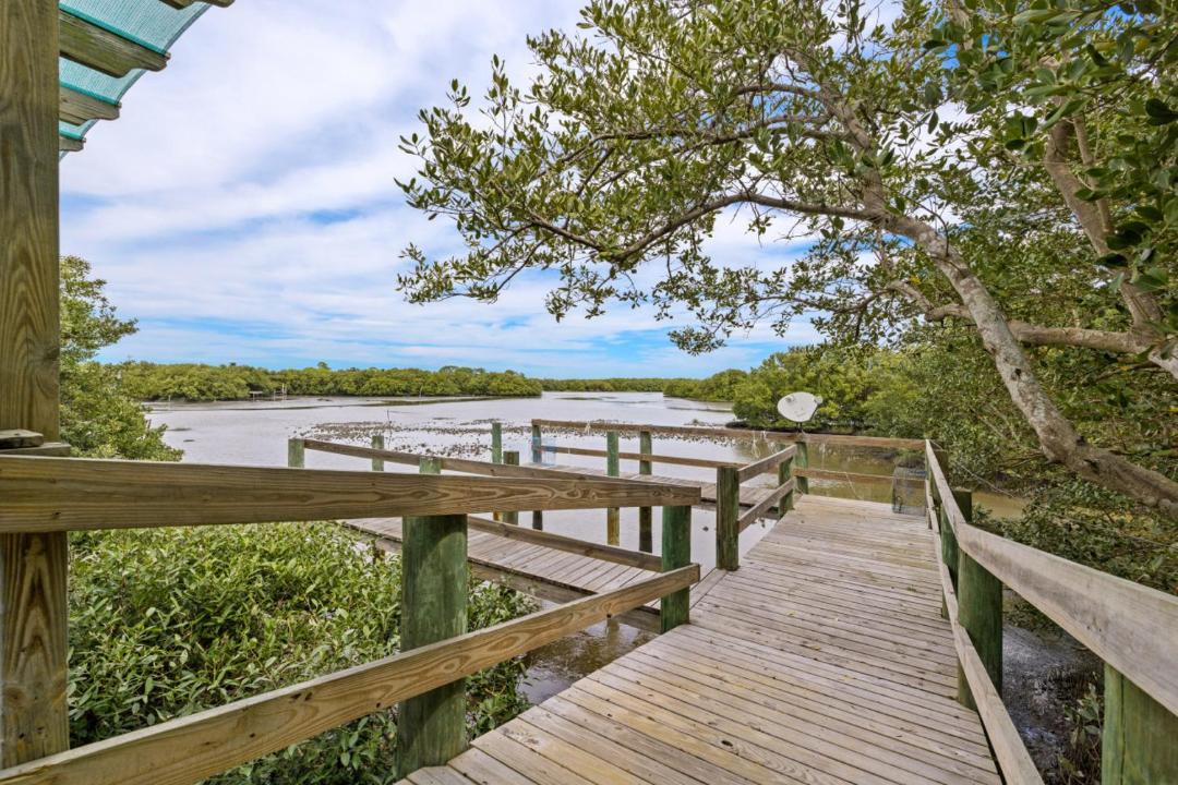 Photo of Others in Cedar Key