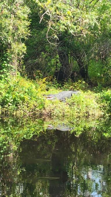Photo of Others in Nokomis