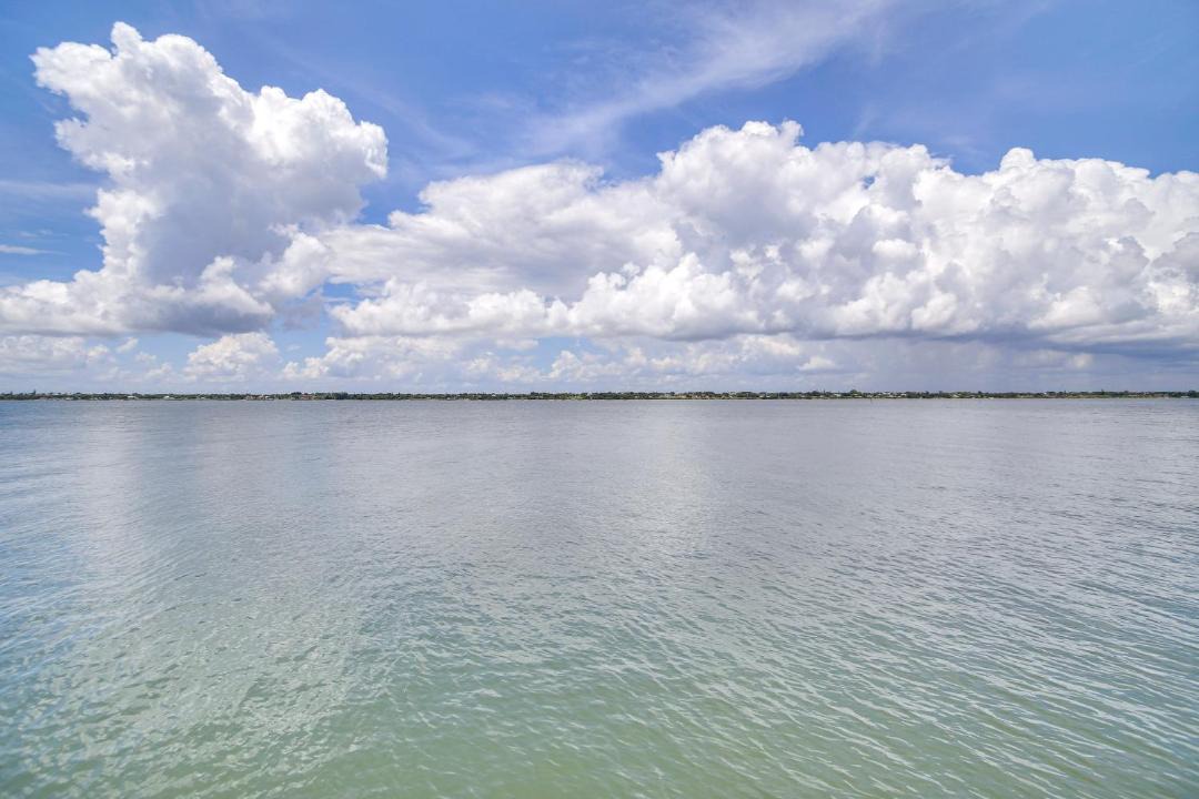 Photo of Others in Nettles Island