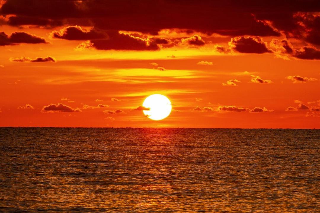 Photo of Others in Boca Raton