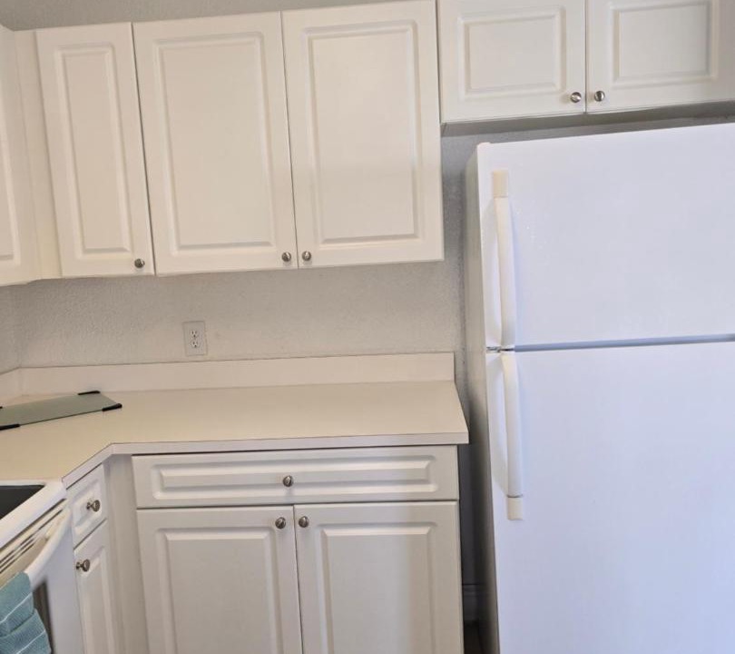 Photo of Kitchen in Lake Magdalene