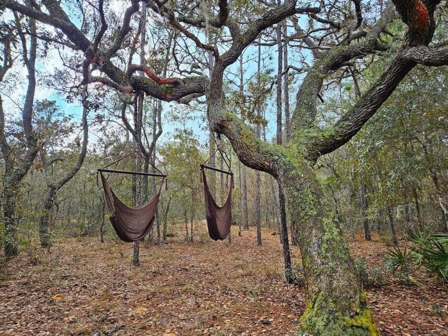 Photo of Others in Lecanto