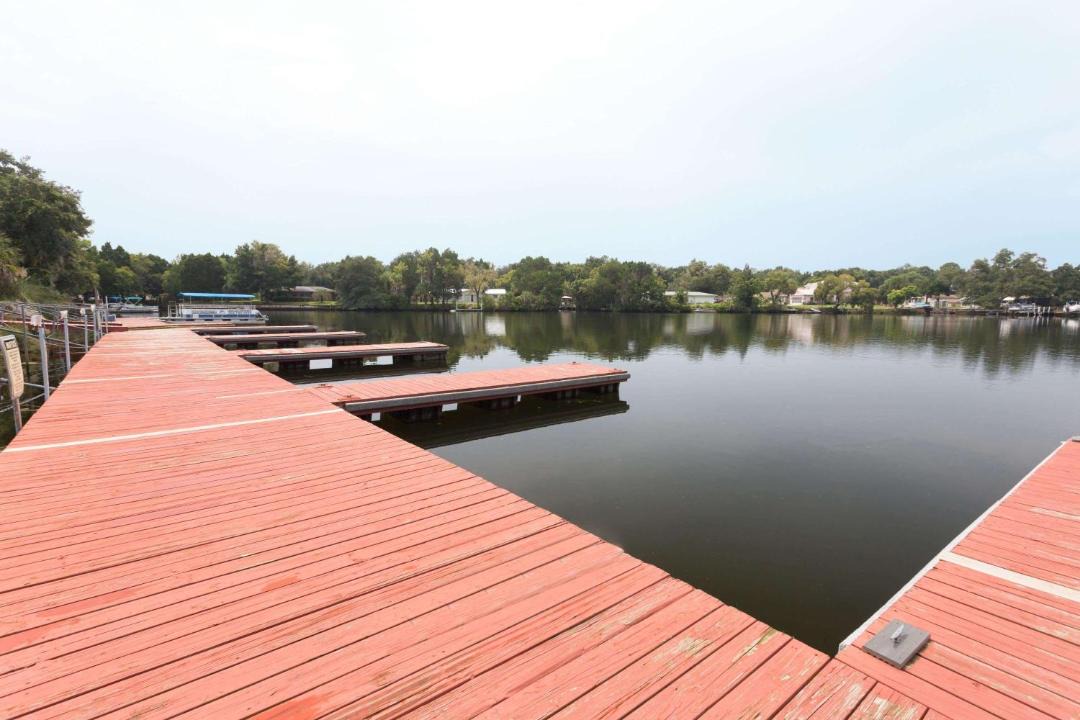 Photo of Others in Crystal River