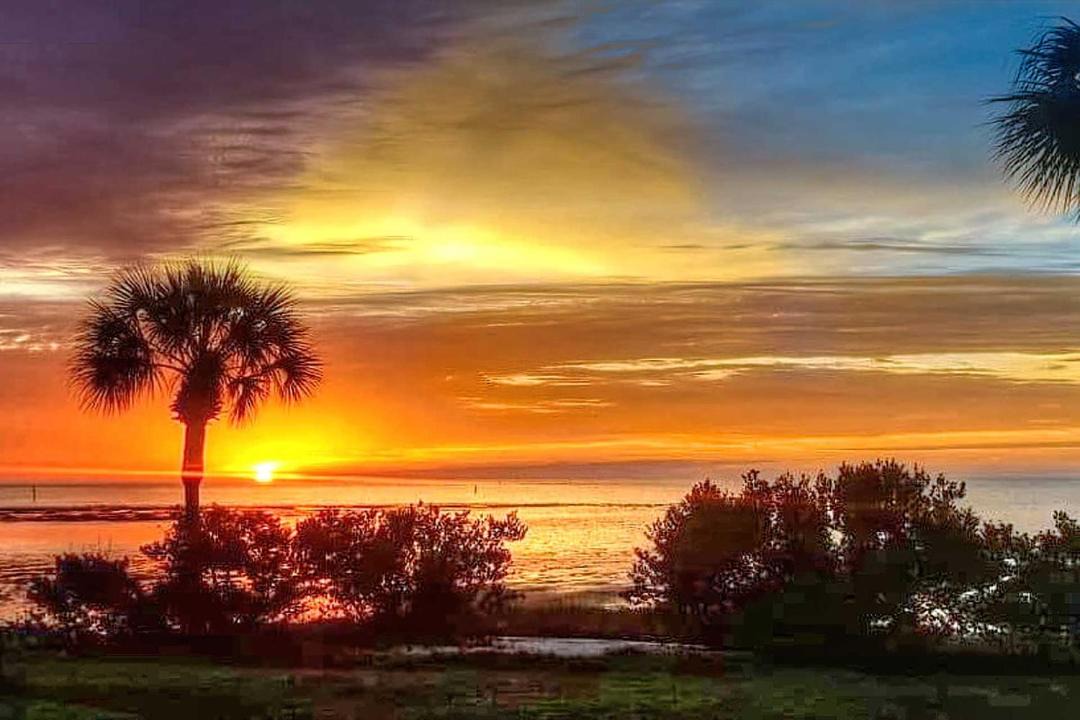 Photo of Others in Cedar Key