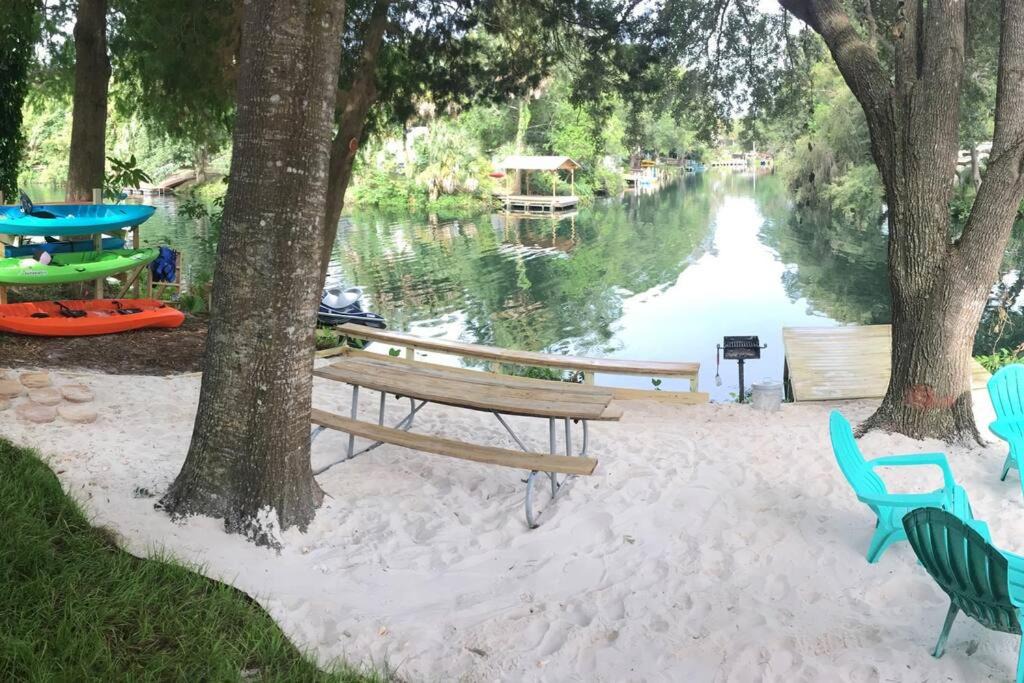 Photo of Others in Weeki Wachee Gardens
