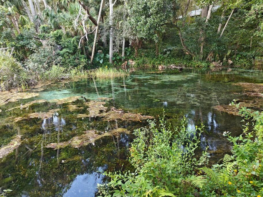 Photo of Others in Citrus Springs
