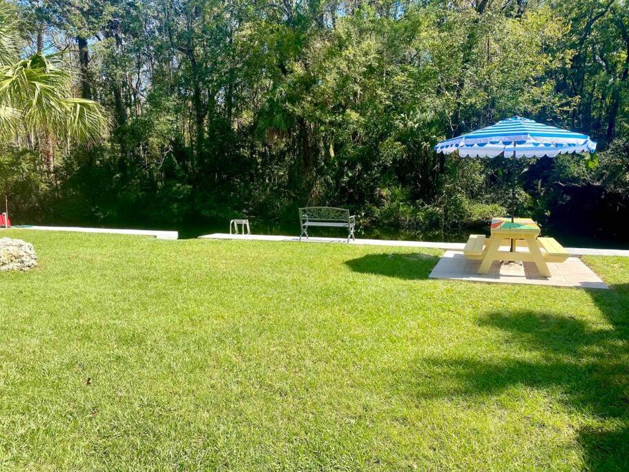 Photo of Others in Crystal River