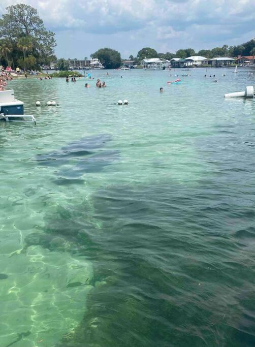 Photo of Others in Crystal River