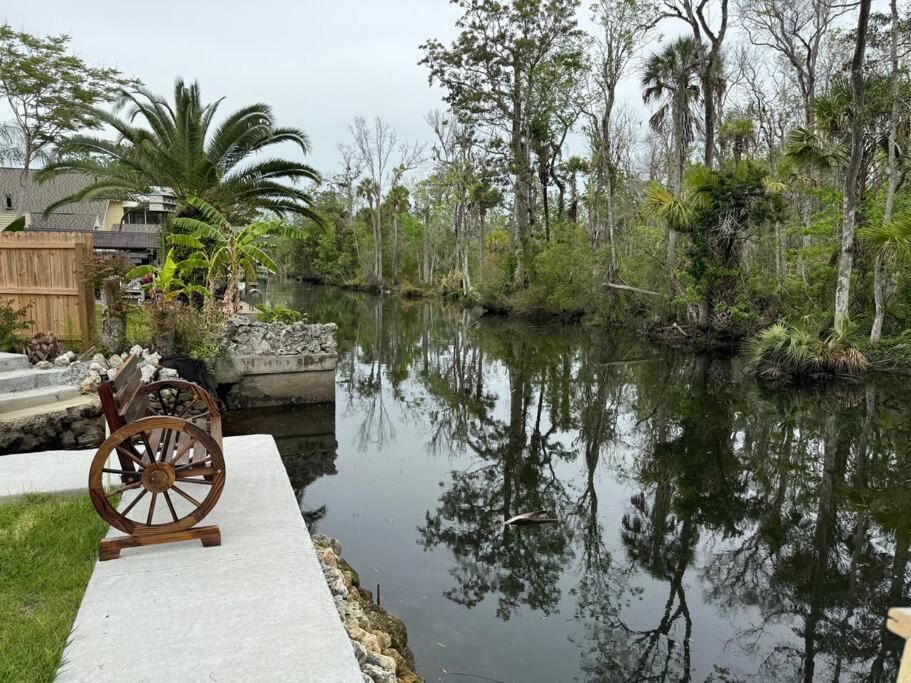 Photo of Others in Crystal River