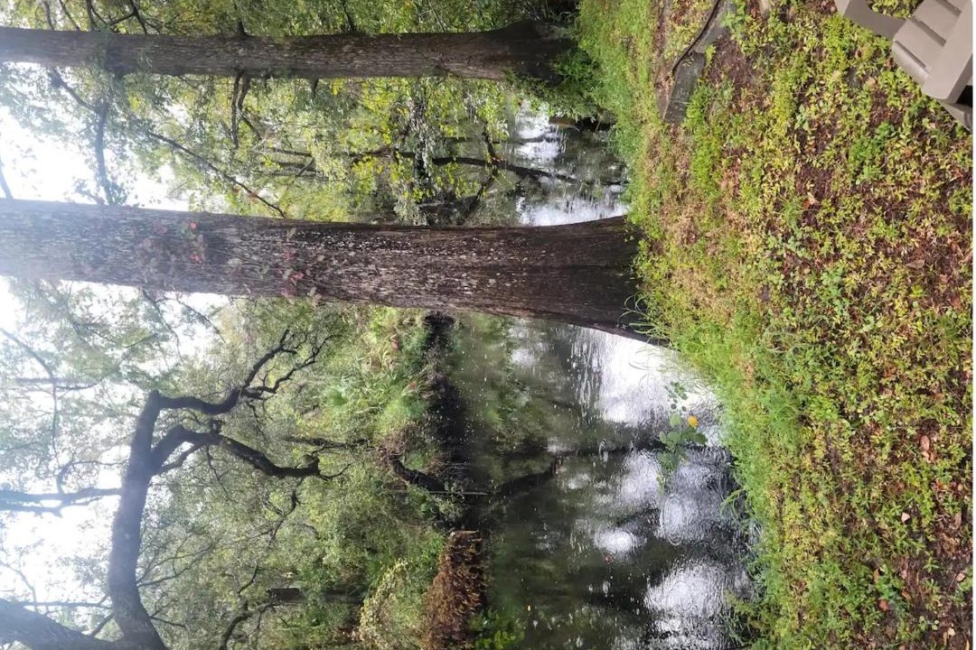 Photo of Others in Anclote River Acres