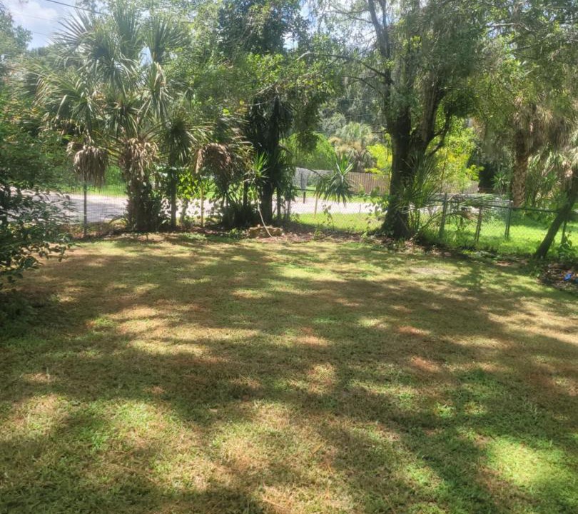 Photo of Others in Anclote River Acres