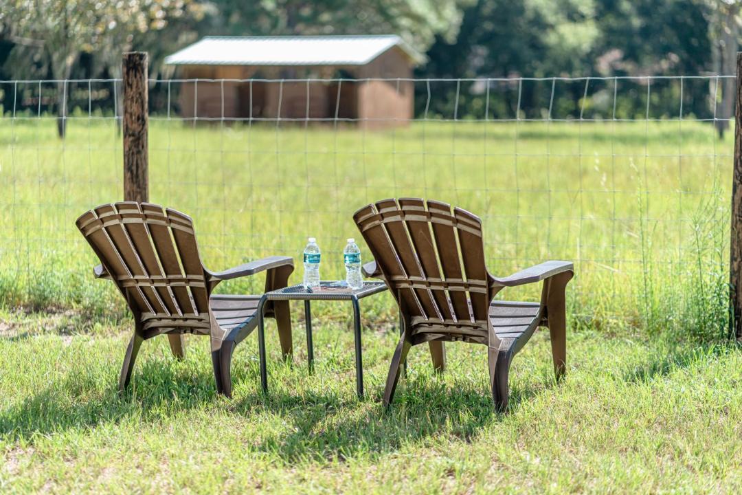 Photo of Others in Ocala