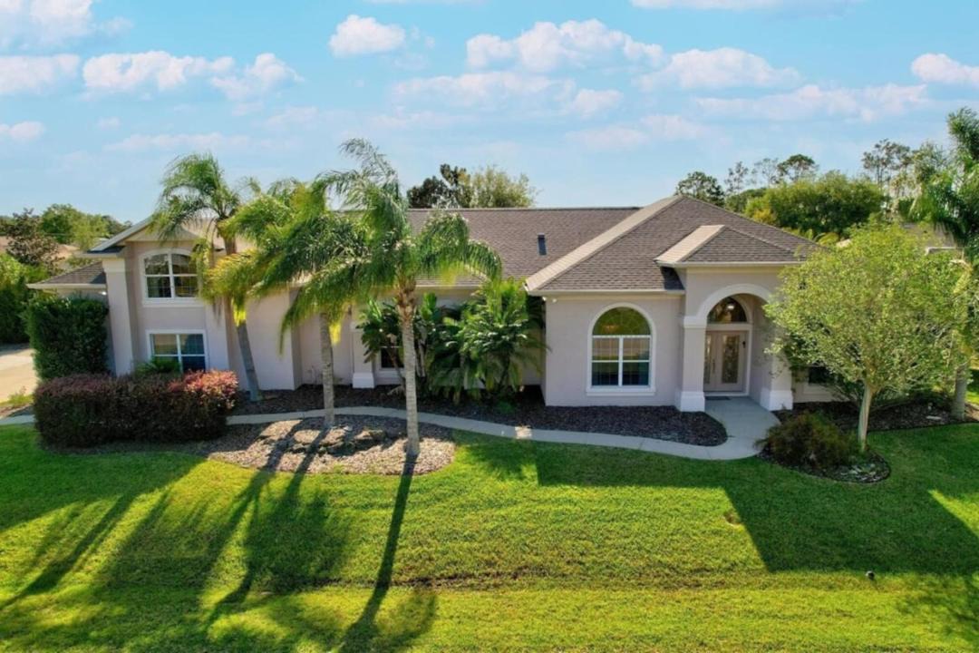 Photo of Others in Palm Harbor
