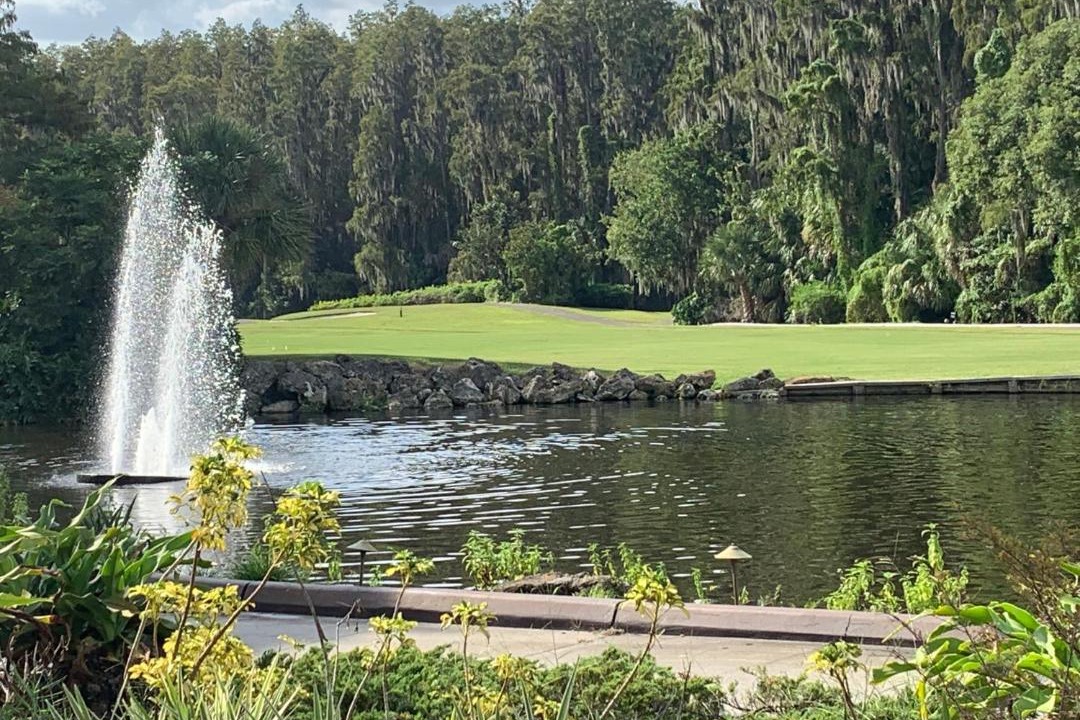 Photo of Others in Wesley Chapel