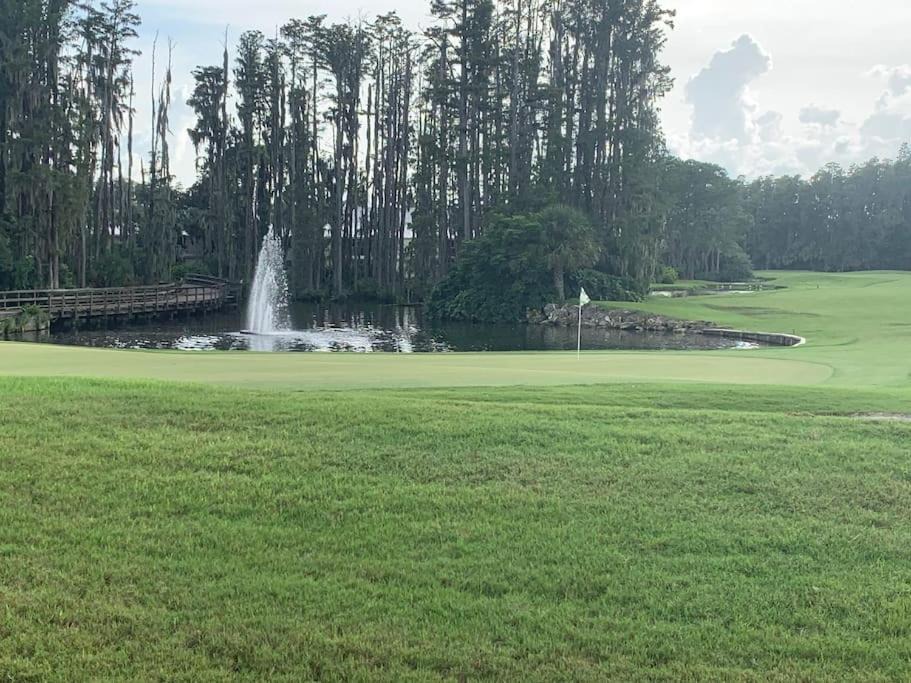 Photo of Others in Wesley Chapel