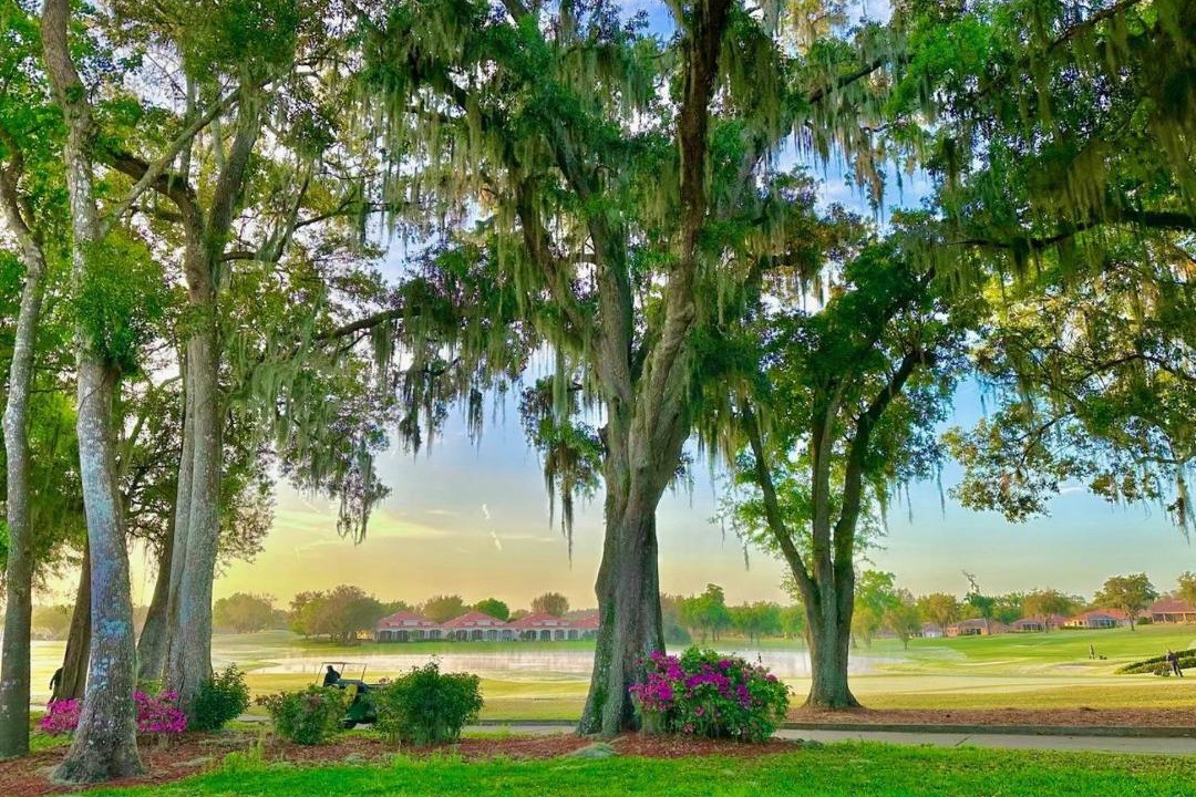 Photo of Others in Lake Jovita
