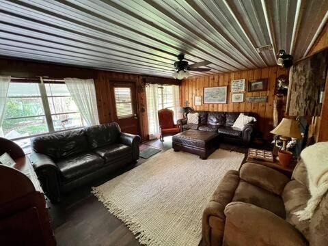 Photo of Livingroom in Webster