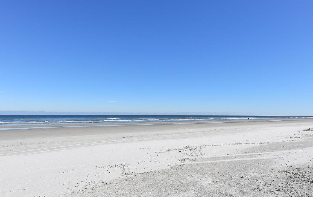 Photo of Others in Sea Dunes