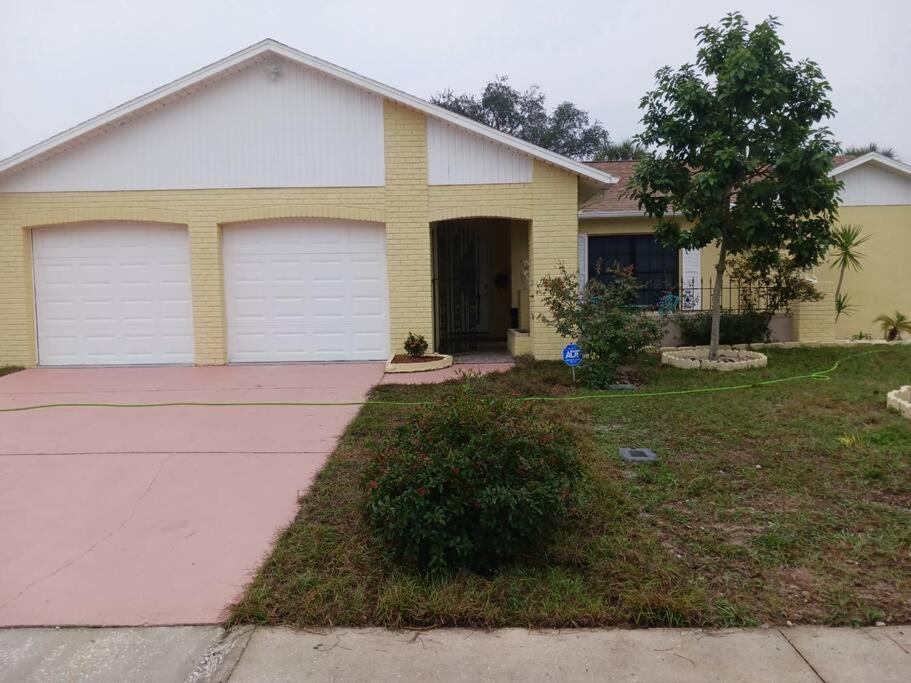 Photo of Buildings in Orchid Lake Village