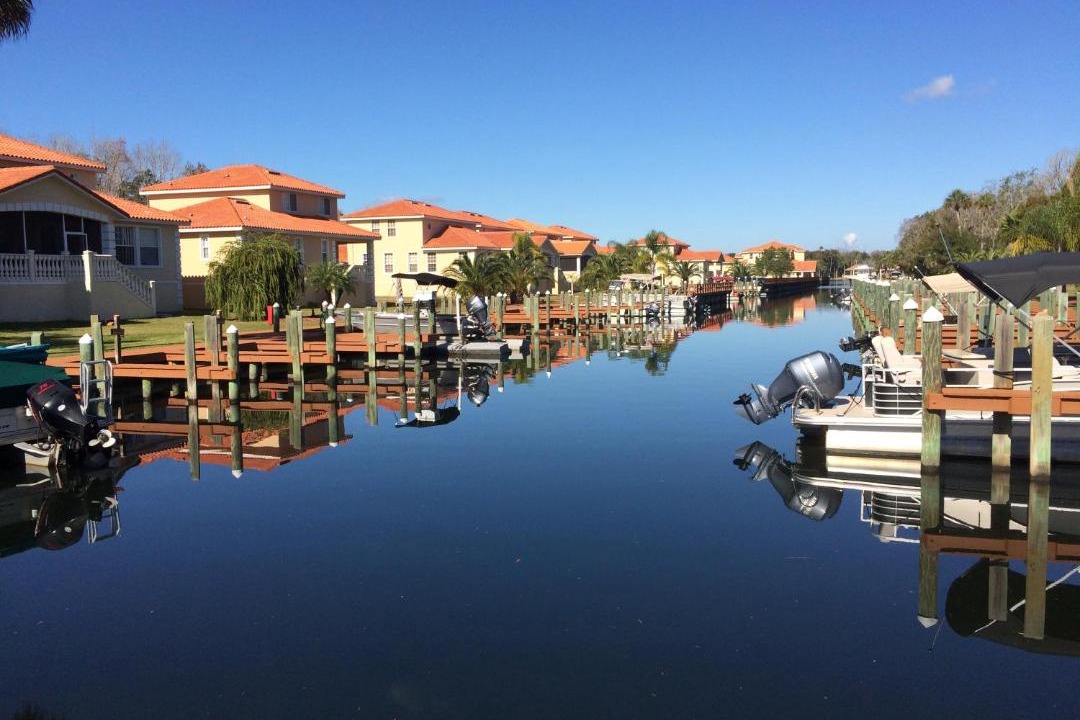 Photo of Others in Homosassa