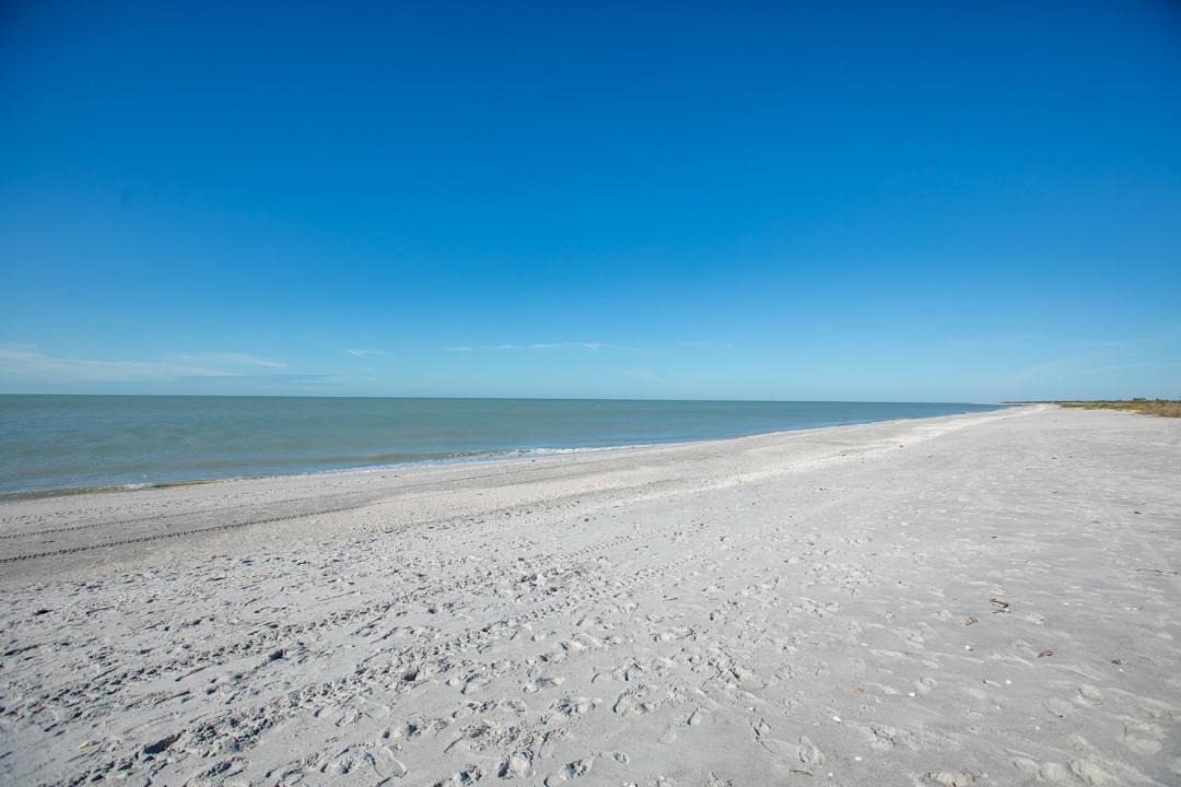 Photo of Others in Tradewinds