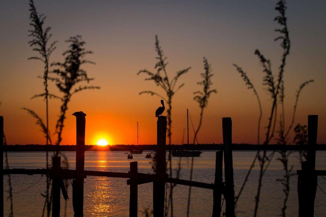 Photo of Others in Green Cove Springs