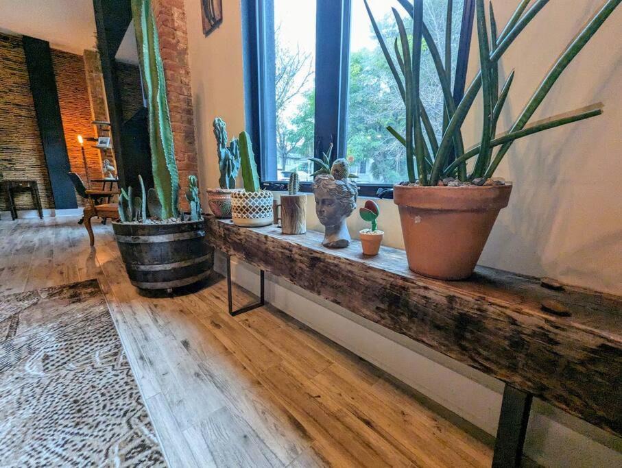 Photo of Livingroom in Tampa Heights