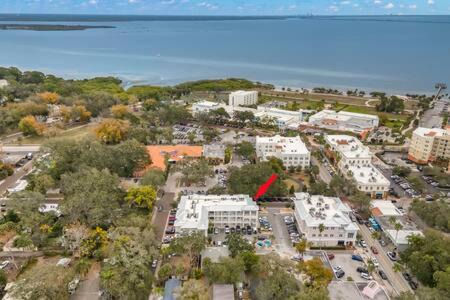 Photo of Others in Safety Harbor
