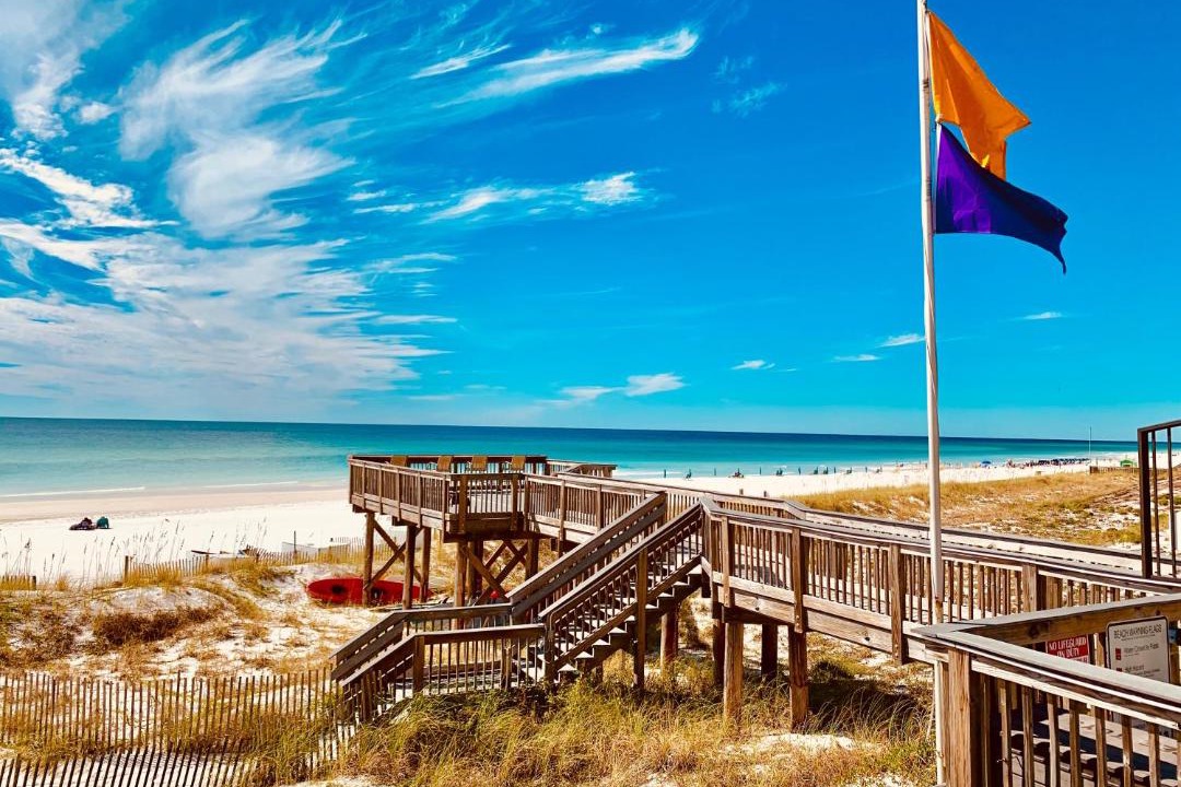 Photo of Others in Gulf Pines