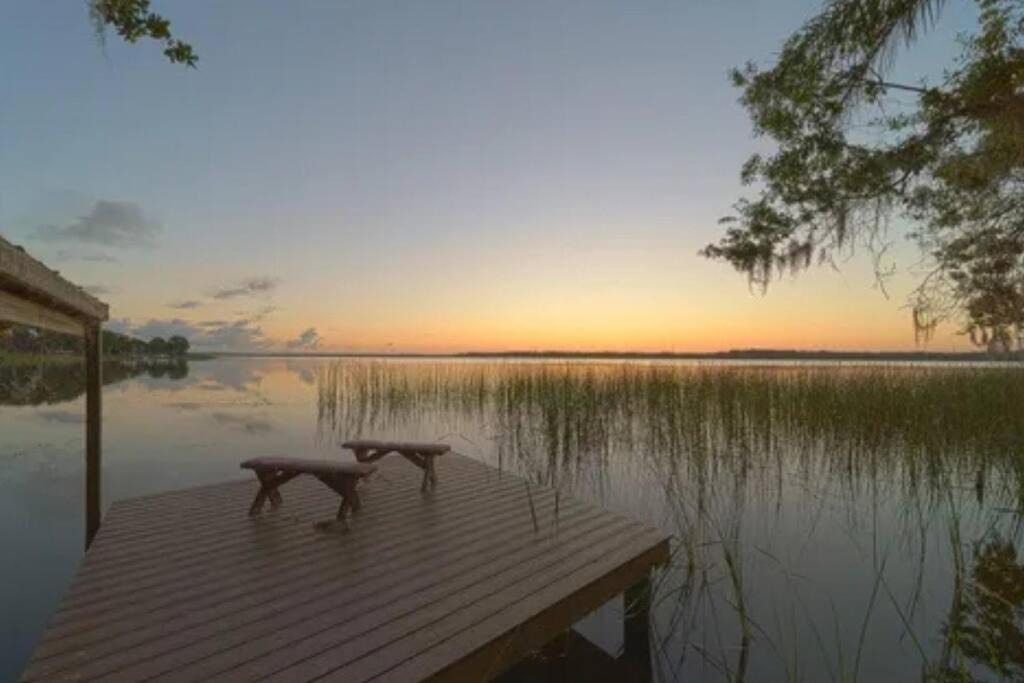 Photo of Others in Palm Harbor