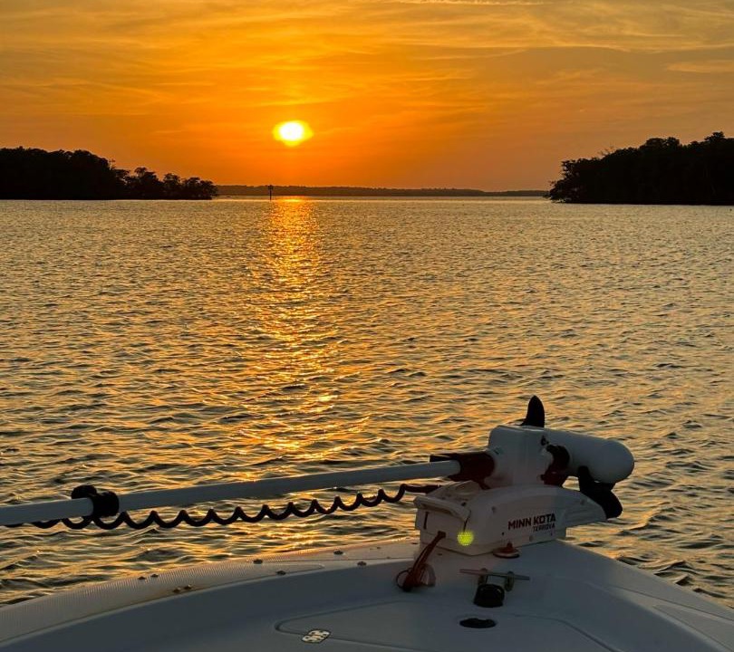 Photo of Others in Everglades City