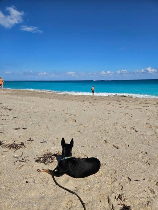 Photo of Others in Palm Beach - West Palm Beach