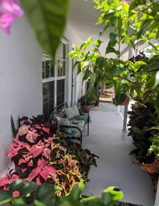 Photo of Patio Balcony in North Andrews Gardens