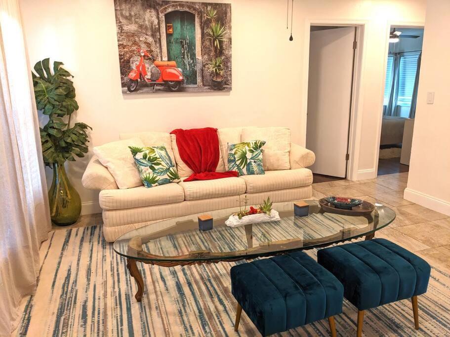 Photo of Livingroom in North Andrews Gardens