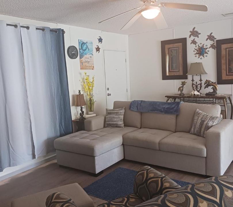 Photo of Livingroom in Allandale