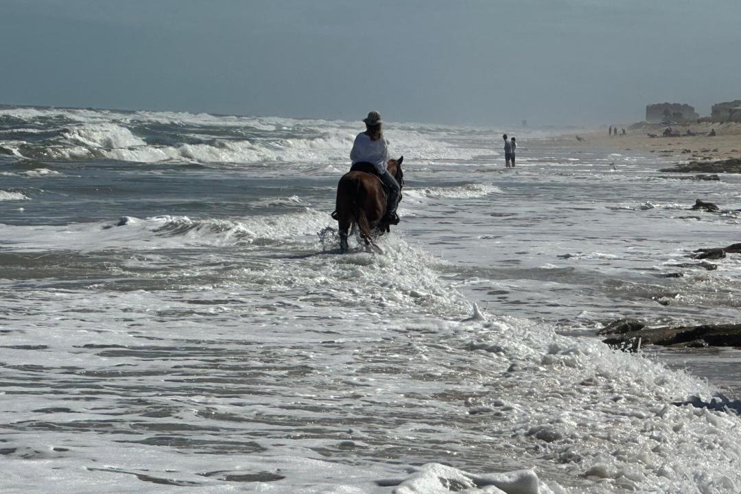 Photo of Others in Flagler Beach