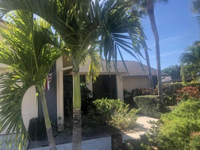 Photo of Others in East Naples