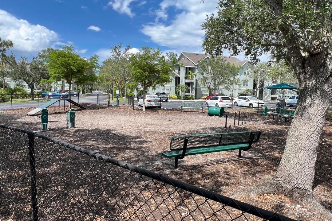 Photo of Others in North Naples