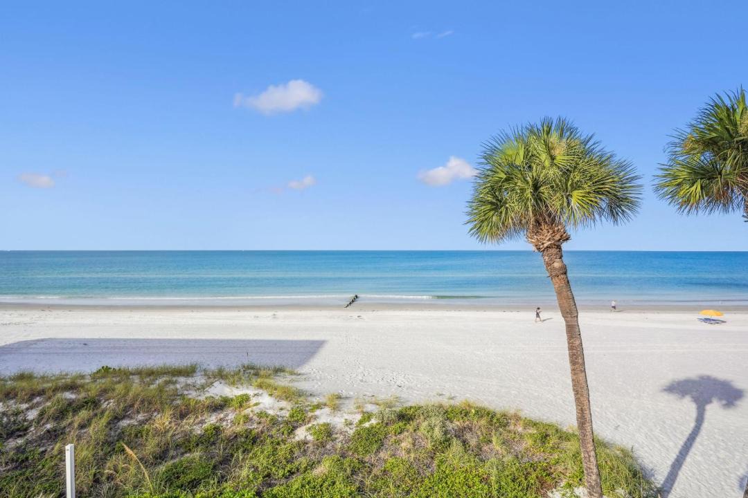 Photo of Others in Madeira Beach