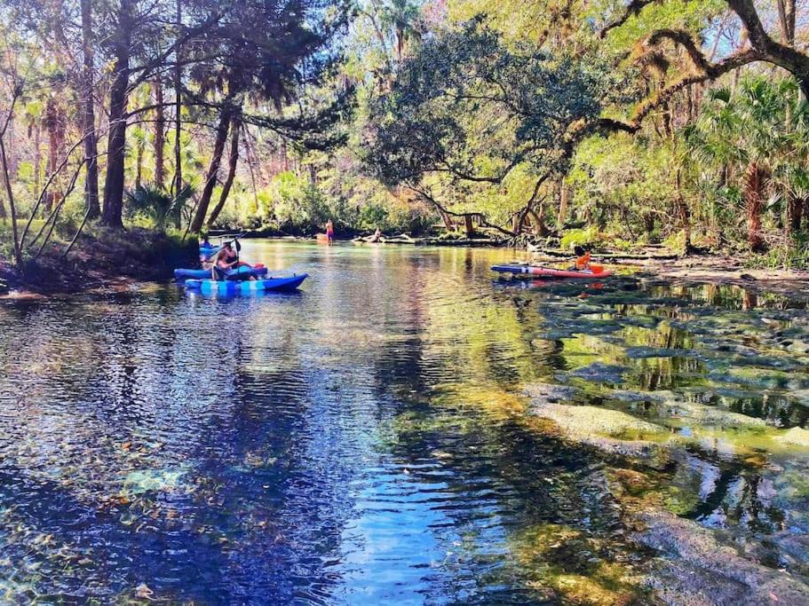 Photo of Others in Chassahowitzka