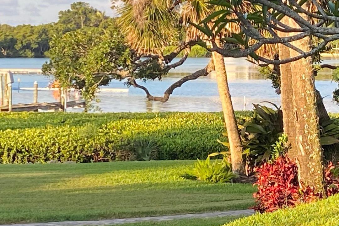 Photo of Others in Sorrento Shores